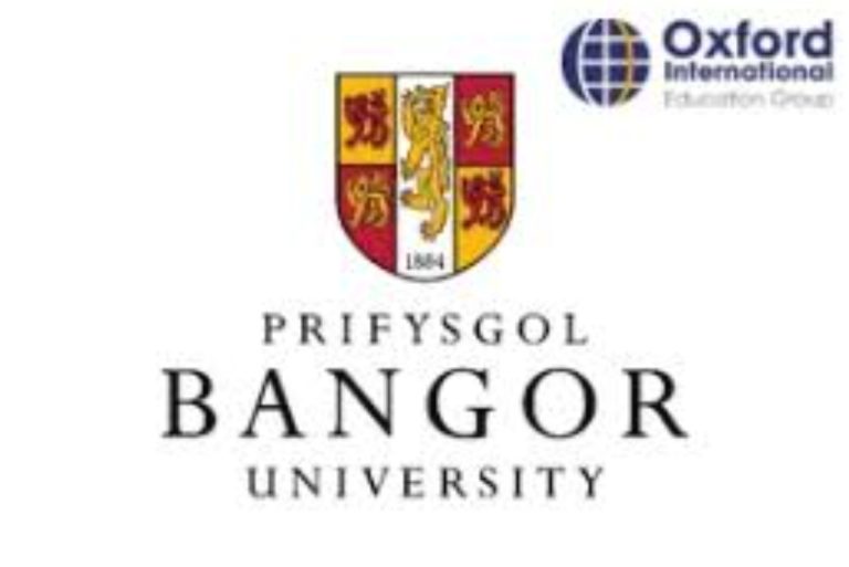 University Partner logo